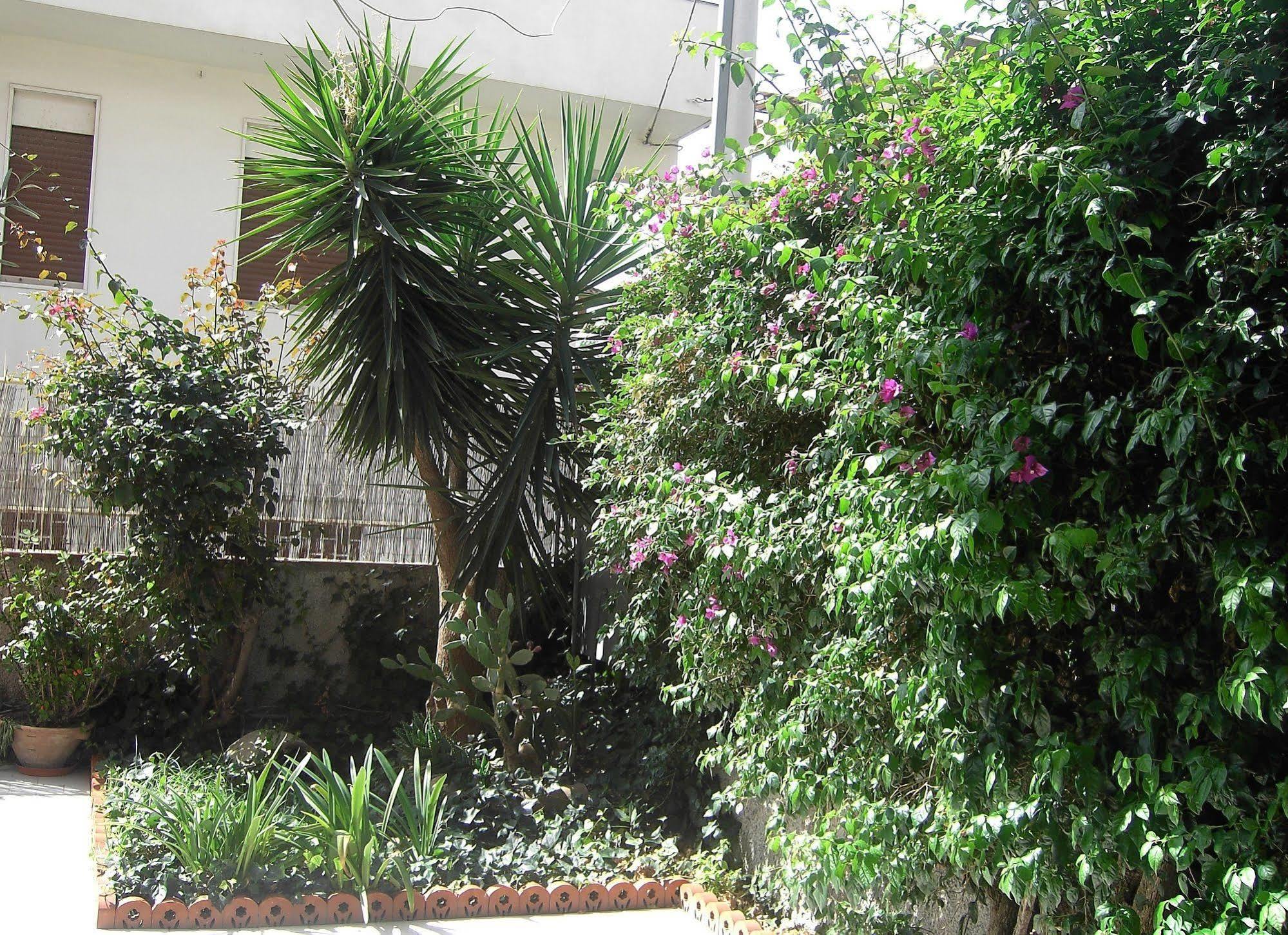 Etna Inn Motta Sant' Anastasia Exterior photo
